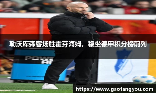 勒沃库森客场胜霍芬海姆，稳坐德甲积分榜前列