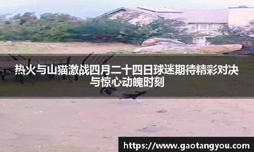 yy易游体育官网