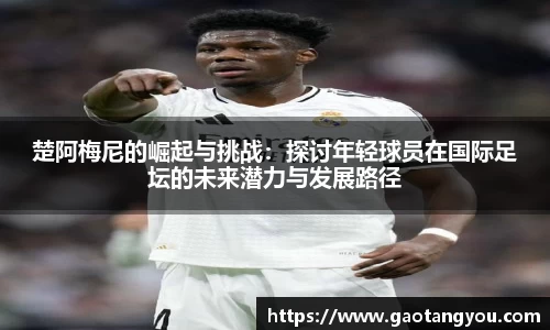 yy易游体育平台
